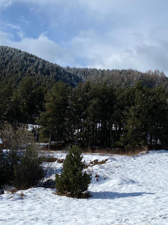 Chalet Au Pieds Des Pistes Le Cambre Aze Bolquere Exterior foto